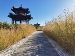 -水西公园