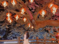 -云顶山庄·粤菜·农家菜(共和店)