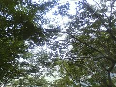 景点-帽儿山风景区