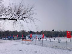 -长春市南湖公园