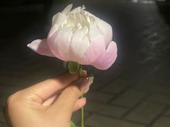 -郑州植物园