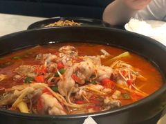 盐帮仔姜蛙蛙跳-本来精品川菜(嘉里中心店)