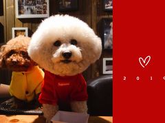 -百好乐宠物友好餐厅(朝外大街店)