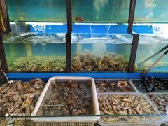 水产区-老东镇啤酒屋海鲜加工·蒸汽海鲜·海鲜烧烤(台东店)