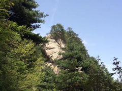 -秦岭风景区