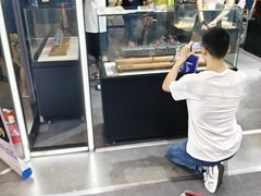 -上海跨国采购会展中心