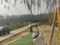 -秀丽东方