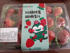 -百果园PAGODA(南沙路店)