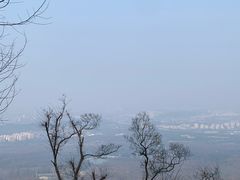 -紫金山山顶公园