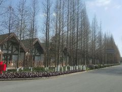 -太阳岛度假酒店