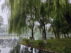 -石家庄市植物园