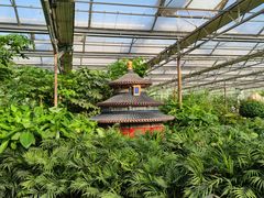 -南宫五洲植物乐园