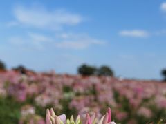 -江苏三台山国家森林公园