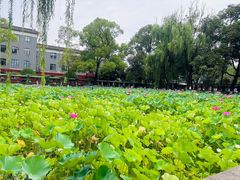 -四川大学(望江校区)