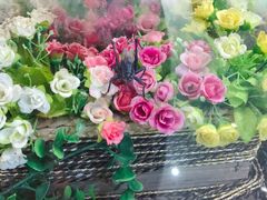 -上海昆虫博物馆