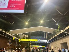 -谢列梅捷沃国际机场