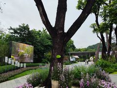 -云溪植物园