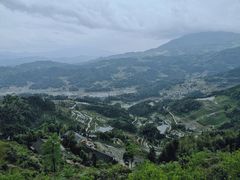 -紫鹊界梯田景区