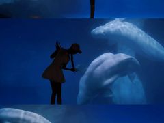 -海合安武汉极地海洋公园