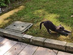 -棕榈岛海鲜自助餐厅(虹桥迎宾馆店)