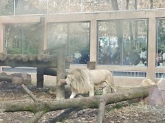 -成都动物园