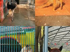 -荆州中山公园动物园