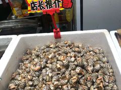 -蚝专家(北滘店)