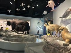 -中国湿地博物馆