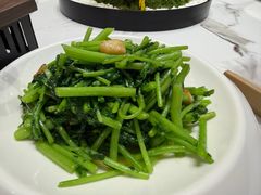 -十二毡房蒙餐·蒙古包
