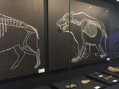 -北京周口店北京人遗址博物馆