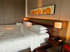 -三亚太阳湾柏悦酒店
