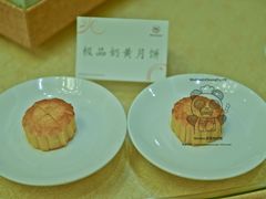 DSC_0174-成都天府丽都喜来登饭店