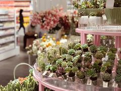 -KKV(深圳宏发大仟里店)