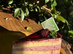 -倾城密码(大唐店)