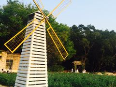 -玫瑰海岸文化旅游度假区