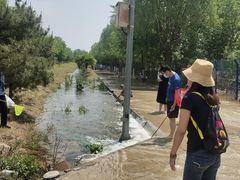 -永定河休闲森林公园