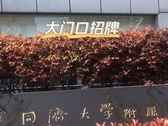 -同济大学附属口腔医院