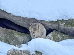 -终南山南五台景区