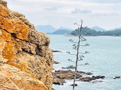 -东山风动石景区