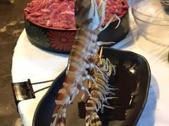 -鲜入围煮花胶鸡海鲜火锅