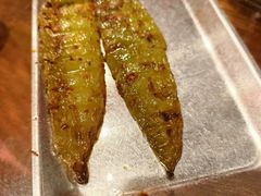-破瓦寒窑烤羊排·鲜牛肉烧烤