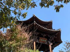 -杭州半山国家森林公园