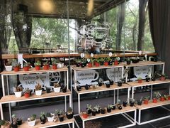 -马咖啡macup·意式轻餐·观景餐厅