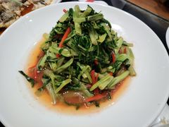 -上海会馆(香港名都店)