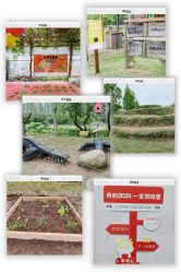 点击看大图 -前小桔亲子创意农场·草莓采摘·露营烧烤