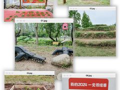 -前小桔亲子创意农场·草莓采摘·露营烧烤