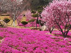 -石岛赤山风景区