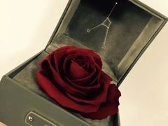 -ROSEONLY诺誓(国际广场购物中心店)