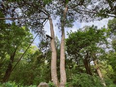 -香山公园