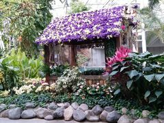 -北京植物园-展览温室